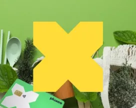 Articles recyclés